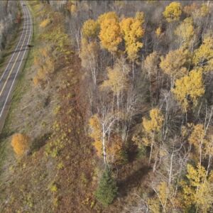 2.00 acres in Radisson, WI (Sawyer County) - APN 004-738-07-4404 (photo 12)